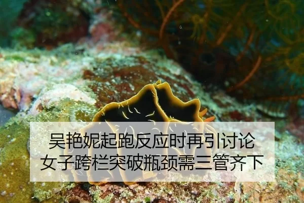 吴艳妮起跑反应时再引讨论 女子跨栏突破瓶颈需三管齐下